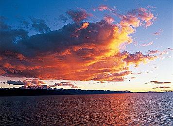 多邻国扩展数学和音乐课程：用游戏方式推动高效学习